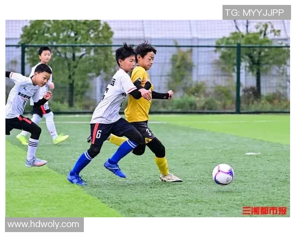 足球郜飞机带你领略绿茵场上的激情与梦想，探索足球背后的故事与魅力